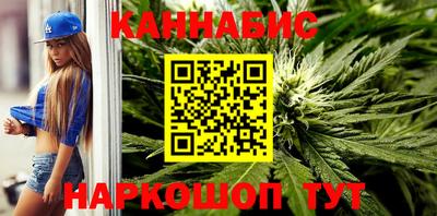 крисы Будённовск