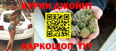 крисы Будённовск