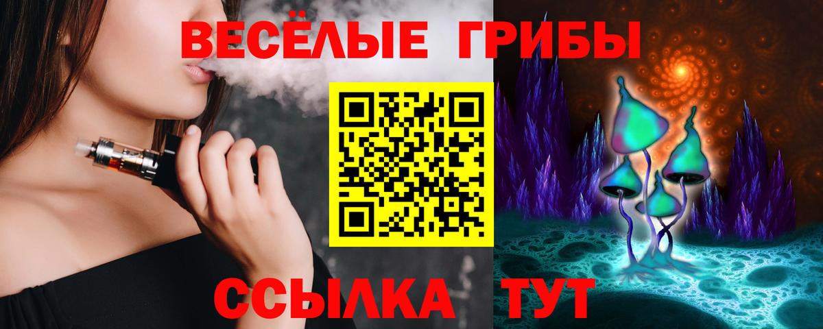 Псилоцибиновые грибы GOLDEN TEACHER  Псилоцибиновые грибы Psilocybe  Кореновск  Вход с VPN 